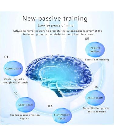 Rehabilitation Robot Gloves Finger Orthoses Hand Stroke Hemiplegia Rehabilitation Training Equipment Functional Long-Term Relief Left Medium - Buy Online on GoSupps.com