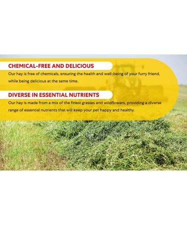 Shorefields Small Compact Meadow Hay Bagged 10kg - Buy Online on GoSupps.com