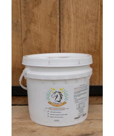 Smart Earth Camelina Oil for Horses - Natural Nutritional Supplement for Coat Hooves and Joints - Horse Oil - Omega 3 6 & 9 - Equine Care - Camelina Oil for Joint Health (13.25L) - Buy Online on GoSupps.com
