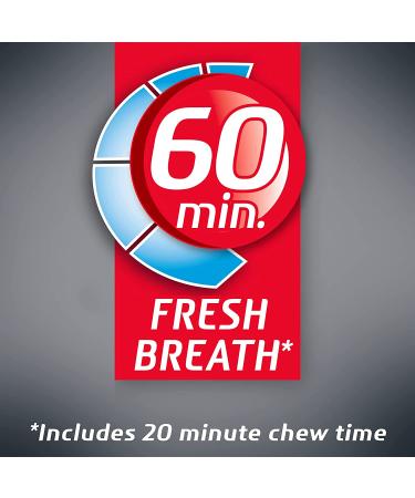 Dentyne Ice Arctic Chill Sugar Free Gum - 144 Total Pieces (16 Count, Pack of 9) - Buy Online on GoSupps.com