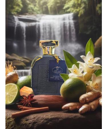 OUD COLLETION FOR MEN EAU DE PARFUM 3.4 FL. OZ. Woody fragrance for men. - Buy Online on GoSupps.com