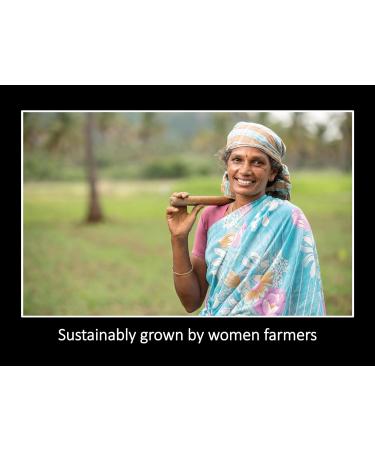 DAANA Eucalyptus Essential Oil : Pure Undiluted (2 Fl Oz) 2 Fl Oz (Pack of 1) - Buy Online on GoSupps.com