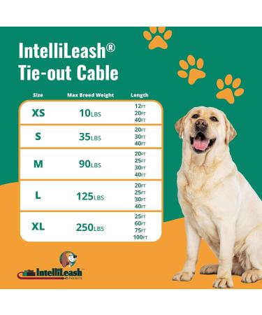 IntelliLeash Products Dog Leash - Heavy Duty 125 lb Capacity 50m Length for Strong Dogs - Perfect for International Shipping - Buy Online on GoSupps.com