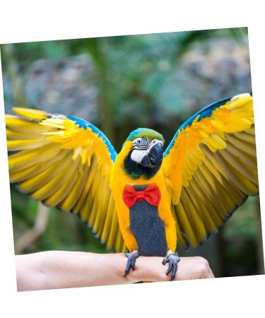 POPETPOP Flying Bird Diapers Budgie Diaper Bird Nappy Bird Clothes Bird Flight Suit Diaper Diapers for Pet Birds Parrots Nappies Parrot Diaper Cockatiel Diaper Cotton Cocktail Set Long Tail 20x11cm As Shown 2 - Buy Online on GoSupps.com