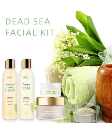 Deluvia Skin Care Set - Travel Size Deluxe Facial Kit | Gentle Foaming Cleanser Toner Moisturizer & Dead Sea Mud Mask for Radiant Skin - Buy Online on GoSupps.com