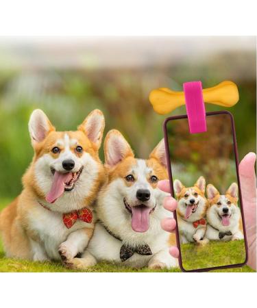 BWM Customised Fashion Pet ID Tags Dog Tags | Dog Tag for Pets Laser Engraved & Personalised | ID Tags for Dogs & Cats | Durable Strong & Deeply Engraved - Sparkly Pink Bow Tie Small S (Pack of 1) Pink - Buy Online on GoSupps.com