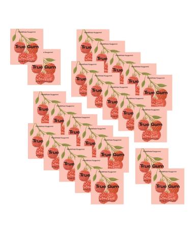 True Gum True Gum - Plastic-free eraser - Raspberry & Vanilla - 24 x 21g - 100% biodegradable