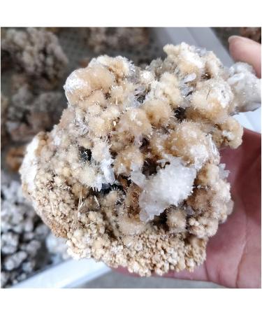 CIMWJOPS Natural Rough Crystalline Crystal Stone Zeolite Quartz Apophyllite Raw Rock Decorations Specimens Collection Bulk 1.0-1.15kg - Buy Online on GoSupps.com