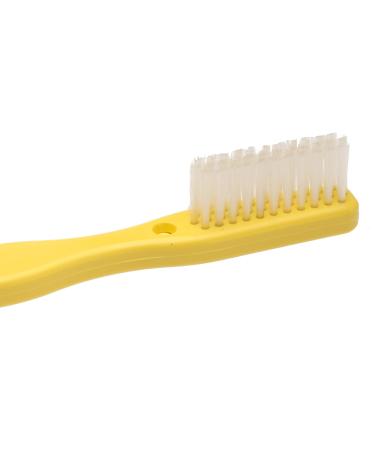 Shop Oversized Demonstration Toothbrush - Perfect for Training & Display | International Shipping Available - Buy Online on GoSupps.com