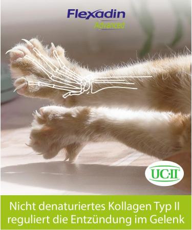 Flexadin Advanced Cat - Joint Health Supplement with UC-II Collagen | 60 Gelatin Capsules for Cats - Buy Online on GoSupps.com