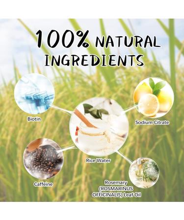 Fermented Rice Water Shampoo & Biotin Hair Growth Oil | Restore Dry & Damaged Hair | All Hair Types | Men & Women - Buy Online on GoSupps.com
