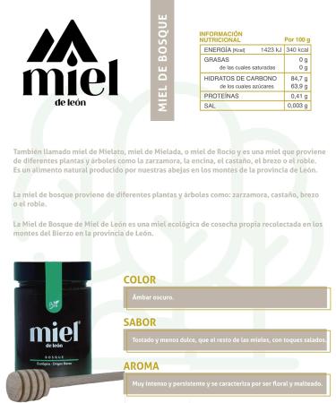 Spanish Honey | Forest Honey - 450 g - 100% Natural Bee Honey Organic Honey Handmade Product DUBAI International Taste Awards GOLD. Grilled flavor - Intense aroma. Origin Spain. - Buy Online on GoSupps.com
