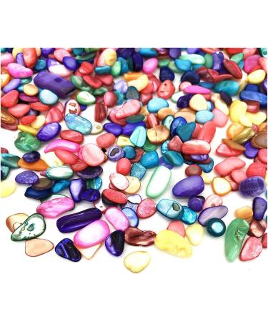 Natural Crystal Rough 50g Artifical Colorful Shell Conch Gravel Stones Quartz Crystal Decorative Quartz Crystals Home Decoration ERTEYIN - Buy Online on GoSupps.com