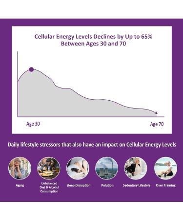 NEVISS Nicotinamide 500mg Gummies + Marine Algae Calcium Gummies Bundle - Buy Online on GoSupps.com