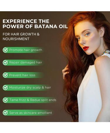 Mysense Raw Batana Oil for Hair Growth 100% Pure Unrefined Dr. Sebi Hair Growth Oil Scalp and Hair Care for Women & Men Prevent Hair Loss Promote Hair Thickness - Buy Online on GoSupps.com