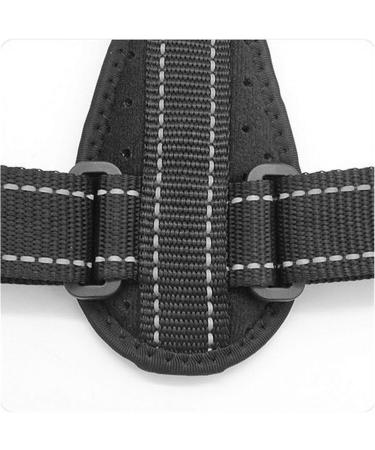 Back Posture Corrector Protective Band Adjustable Humpback Orthosis Straight Back Belt Back Fix Shoulder Corset Support (Color : Black) (Black) - Buy Online on GoSupps.com