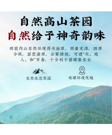 HQZM Natural Biluochun Strong Aroma Tender Leaf Suzhou Biluochun Chinese Tea Loose Leaf 250g * 2 - Buy Online on GoSupps.com