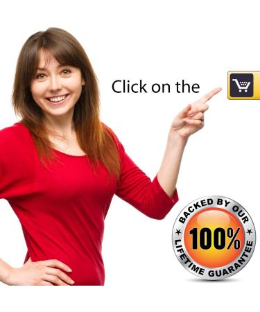 MOLDEX Sparkplugs Soft Foam Earplugs - 60 Pairs - 33dB NRR - Made in USA - Buy Online on GoSupps.com