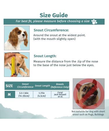 Shop Wllhyf Soft Nylon Dog Muzzle | Breathable & Comfortable Biting Chew Prevention | Adjustable Muzzle for Small Dogs (Red M) - Buy Online on GoSupps.com