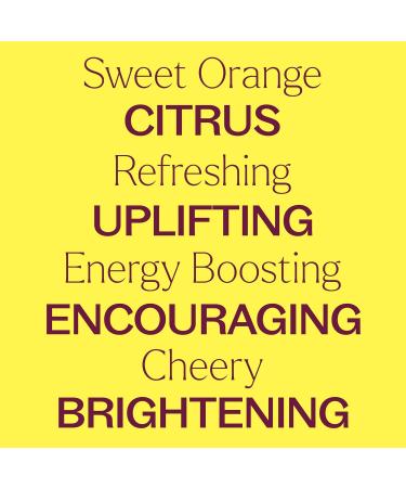 Sweet Orange Essential Oil 100% Pure - Plant Therapy | Natural Aromatherapy Therapeutic Grade 10 mL International Shipping - Buy Online on GoSupps.com