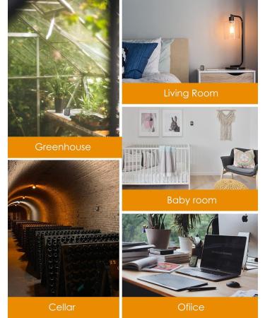 Buy Hoyiours Digital Thermo-Hygrometer - Large LCD Fast Refresh & Smiley Indicator for Home Office & Greenhouse - Best Indoor Temperature & Humidity Monitor - Buy Online on GoSupps.com