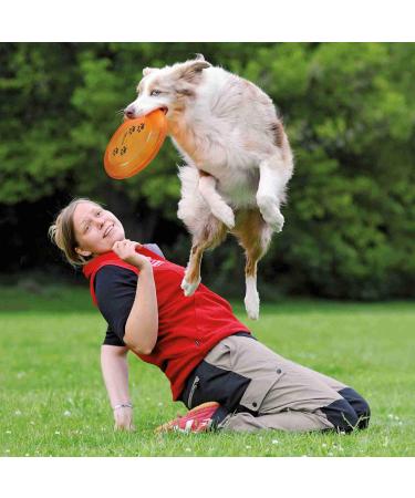 Trixie 33561 Dog Activity Disc - Bite-Proof 19 cm - Perfect for Playtime | International Shipping Available - Buy Online on GoSupps.com