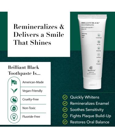 Terra & Co. Brilliant Black Charcoal Toothpaste | Natural Vegan Whitening & Remineralizing | Sensitive Teeth Formula | Mint | 3.4 oz - Buy Online on GoSupps.com