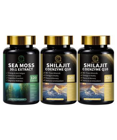 BBEEAAUU Sea Moss and Shilajit Capsules for Men & Women All in 1 Supplements with Shilajit Sea Moss Coenzyme Q10 Black Seed Ashwagandha Burdock for Energy Antioxidant & Immune Support