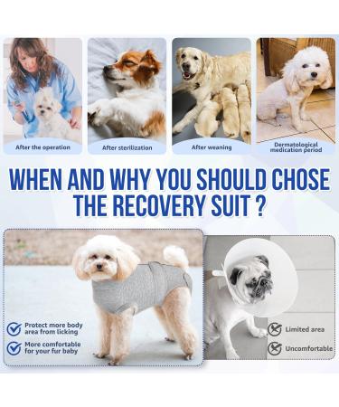 Lukovee Dog Surgery Recovery Suit Dog Cone E-Collar Alternative After Surgery with Zipper for Female Male Dog Recovery Shirt Dog Abdominal Wounds Bandages Preventing Licking Spay Suit (GY M) Medium Gray - Buy Online on GoSupps.com