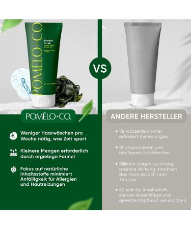 Pom lo+Co. Hydrating 97.5% Natural Matcha Shampoo Women with Hyaluronic Shampoo for Oily Hair Shampoo Dry Scalp Hair Care for Broken Hair / Matcha Scrub / 200 ml Matcha Scrub 200ml - Buy Online on GoSupps.com
