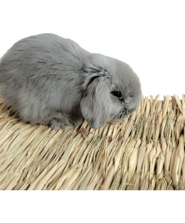 Grass Mat Woven Bed Mat for Small Animal Bunny Bedding Nest Chew Toy Bed Play Toy for Guinea Pig Parrot Rabbit Bunny Hamster Rat(Pack of 3) (3 Grass mats) Basic - Buy Online on GoSupps.com