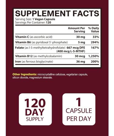 Iron Supplement for Women & Men, Iron Bisglycinate with Vitamin C, B6, B12, Folate, Stomach Friendly, Non-Constipating, Blood Health & Energy Boost, 120 Vegan Caps 120 Count (Pack of 1) - Buy Online on GoSupps.com