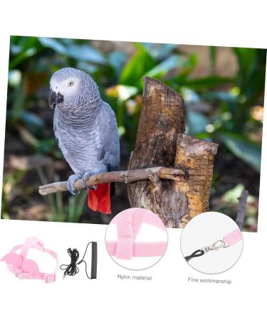 DOITOOL 3 Sets Bird Leash Suspend Parrot Harness and Leash Conure Birds Flying Harness Kit Gecko 12X6X1.3CMx3pcs Pinkx3pcs - Buy Online on GoSupps.com