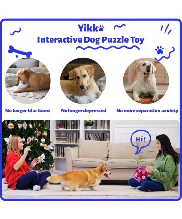 Yikko Interactive Snuffle Ball for Dogs Encourage Natural Foraging Skills Upgraded Rubber to Resist Tearing Slower Food Training with Triangular Hole Hidden Food Portable Toy (Rose Pink Purple) - Buy Online on GoSupps.com
