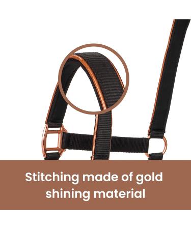 Buy Premium Neoprene Halter for Horses | Adjustable Stable Halter for Thoroughbred & Warmblood | Black/Rose Gold Cob Size - Buy Online on GoSupps.com
