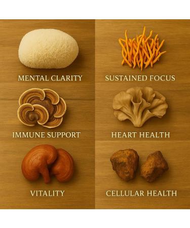 Me First Living Mushroom Complex Supplement 10 in 1 with Lions Mane, Cordyceps, Turkey Tail, Reishi, and More. High Strength Nootropic Brain Supplements for Memory & Focus - Lions Mane Supplement - Buy Online on GoSupps.com