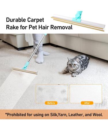 Portable Self-Cleaning Foot Remover for Pets | Lint Brush for Dog & Cat Hair | Reusable Carpet Cleaner - Buy Online on GoSupps.com