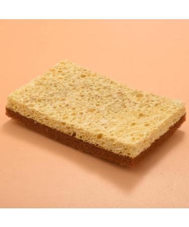 Dewedrt 16 Pack Biodegradable and Compostable Sponges Scouring Pad Palm Fiber Eco-Friendly Sponge for Kitchen Dishes Cleaning - Buy Online on GoSupps.com