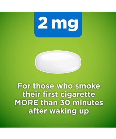 Amazon Basic Care Mini Nicotine Polacrilex Lozenge 2mg Mint 135 Count - Stop Smoking Aid - Mint Flavor Lozenges for Quitting Smoking - Buy Online on GoSupps.com