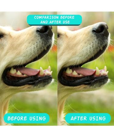 Dog Toothbrush Dog Finger Toothbrush Pet Teeth Cleaning Kit Brush 360 Silicone Finger Teeth Brush for Pets Dogs Cat Puppy with Box 4 Pcs - Buy Online on GoSupps.com