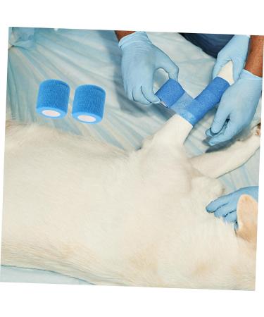 FRCOLOR 10 Rolls Sports Protective Band - Self Adhesive Skin Tape for Injury Prevention | Buy Online & Ship Internationally - Buy Online on GoSupps.com