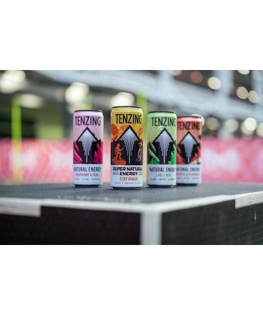  TENZING TENZING Super Natural Energy Drinks Fiery Mango Caffeine 160mg Vitamin D Magnesium Mushrooms Plant-Based Vegan & Gluten Free 12 Count (330ml) - Buy Online on GoSupps.com