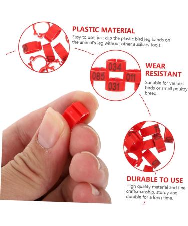 Amosfun 100 Pcs Pigeon Anklet Plastic Ducks Pigeons Ring Bands Pigeon Identification Ring Chick Baby Amulet 1.3X1.3CM Red - Buy Online on GoSupps.com