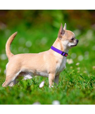 Taglory Purple XS Dog Collar - Soft Padded Neoprene & Nylon Adjustable & Reflective for Training - Perfect for Puppies - Buy Online on GoSupps.com