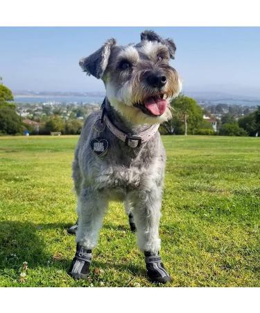 QUMY Dog Shoes for Small Dogs - Winter Snow & Summer Paw Protectors - Waterproof & Anti-Slip Sole - Blue Size 5 - Buy Online on GoSupps.com
