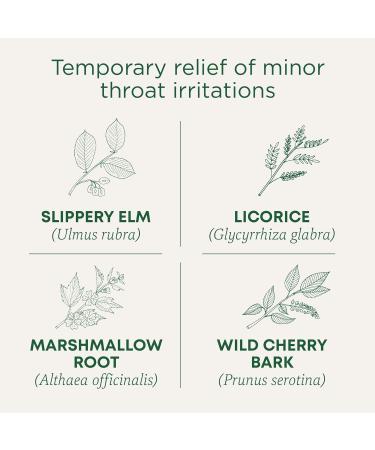 Traditional Medicinals - Organic Throat Coat Herbal Tea (Pack of 6) - Relief of Minor Throat Irritation - Sustainably Sourced Fair Wild Ingredients - 96 Tea Bags Total Throat Coat 16 Count (Pack of 6) - Buy Online on GoSupps.com