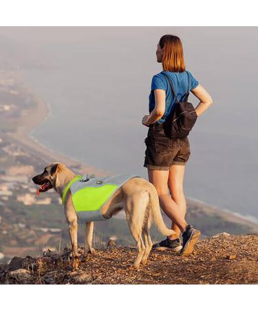 Hjyokuso Cool Vest for Dogs | Summer Cooling Jacket for Small Medium & Large Dogs | Ideal for Outdoor Activities & Training - Buy Online on GoSupps.com