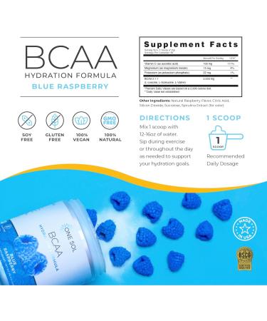 One Sol BCAA & Electrolyte Powder - All-Natural Vegan Hydration Muscle Growth & Recovery Gluten-Free Non-GMO Blue Raspberry Flavor - International Shipping Available - Buy Online on GoSupps.com