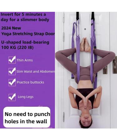 Wavata Aerial Yoga Hammock - Nylon Yoga Swing for Ballet Pilates & Gymnastics | Purple Anti-Gravity Loop for Flexibility Training - Buy Online on GoSupps.com