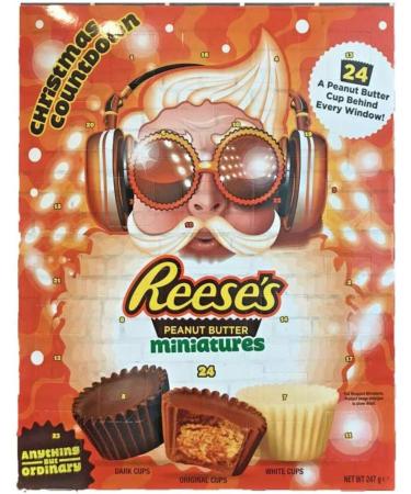 Reese's Peanut Butter 2020 Advent Calendar 247g - Buy Online on GoSupps.com